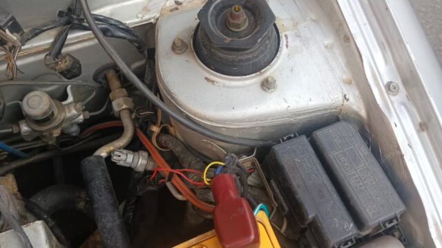 WhatsApp-Image-2025-12-26-at-3.24.06-PM-1