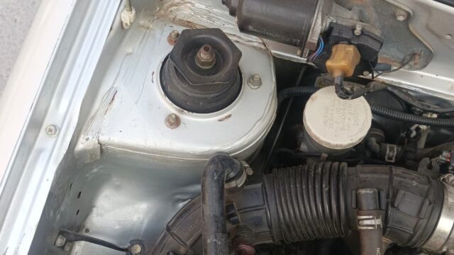 WhatsApp-Image-2025-12-26-at-3.24.06-PM