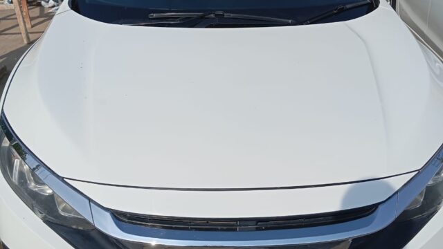 WhatsApp-Image-2025-12-28-at-11.22.16-AM-1