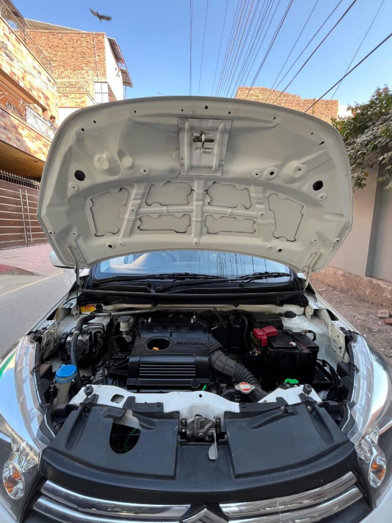 WhatsApp-Image-2025-12-29-at-3.57.54-PM