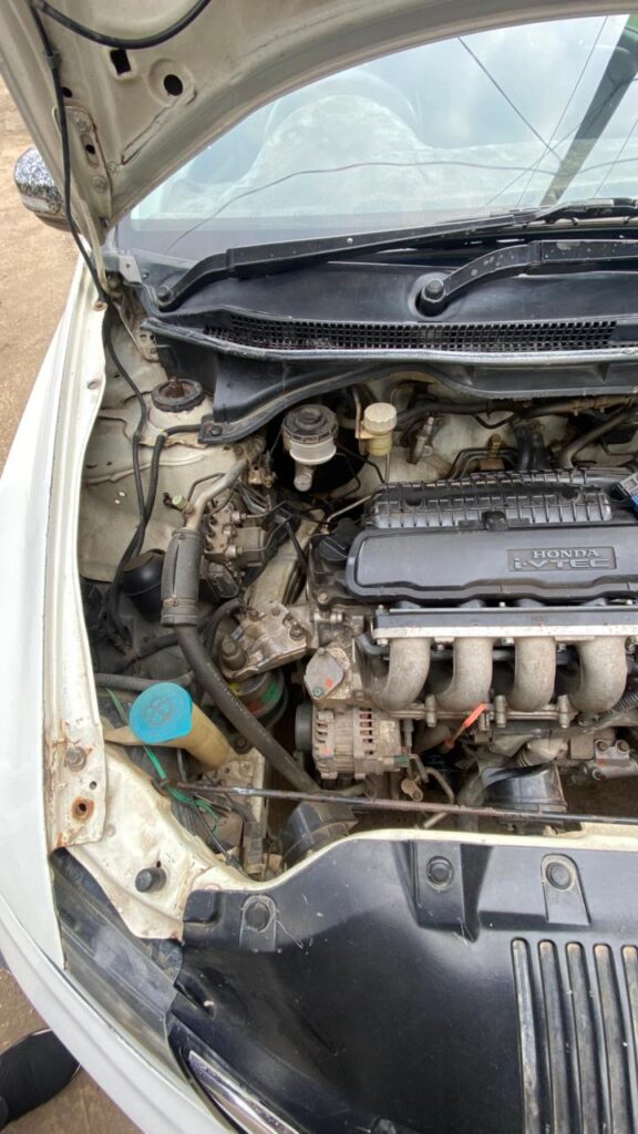 WhatsApp-Image-2025-12-31-at-2.16.58-PM-2