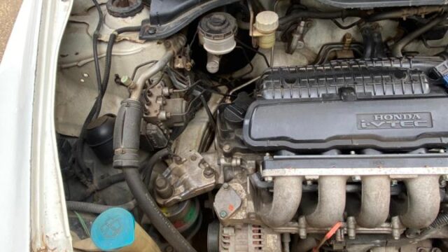 WhatsApp-Image-2025-12-31-at-2.16.58-PM-2