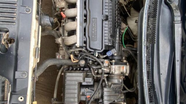 WhatsApp-Image-2025-12-31-at-2.16.59-PM