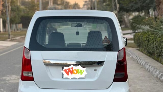 IMG-20260115-WA0010_1