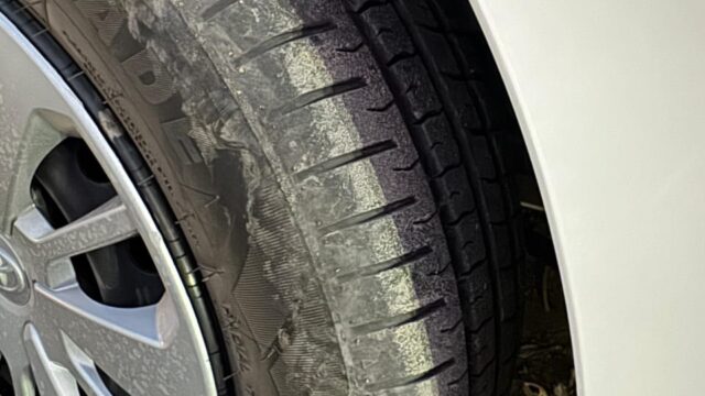 WhatsApp Image 2026-01-08 at 1.03.29 PM (1)