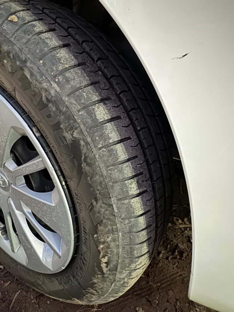 WhatsApp Image 2026-01-08 at 1.03.29 PM (1)