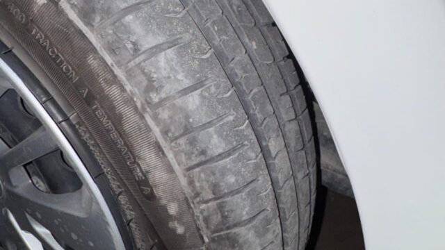 WhatsApp Image 2026-01-08 at 1.03.32 PM (1)