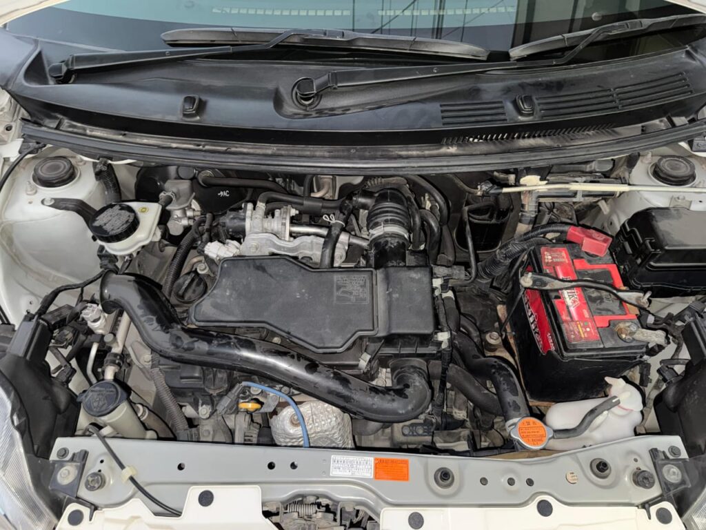 WhatsApp Image 2026-01-08 at 1.03.33 PM (1)