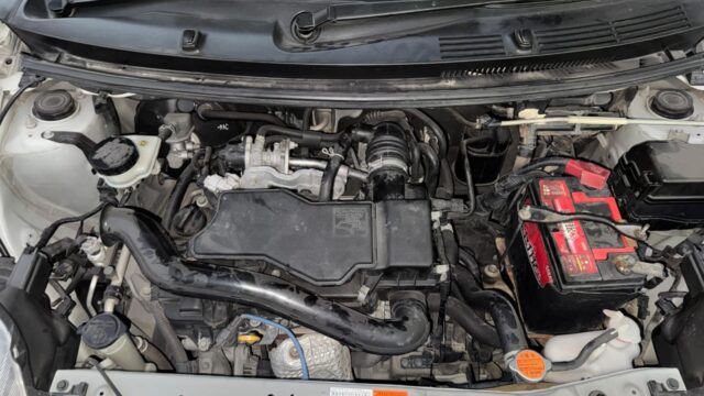 WhatsApp Image 2026-01-08 at 1.03.33 PM (1)