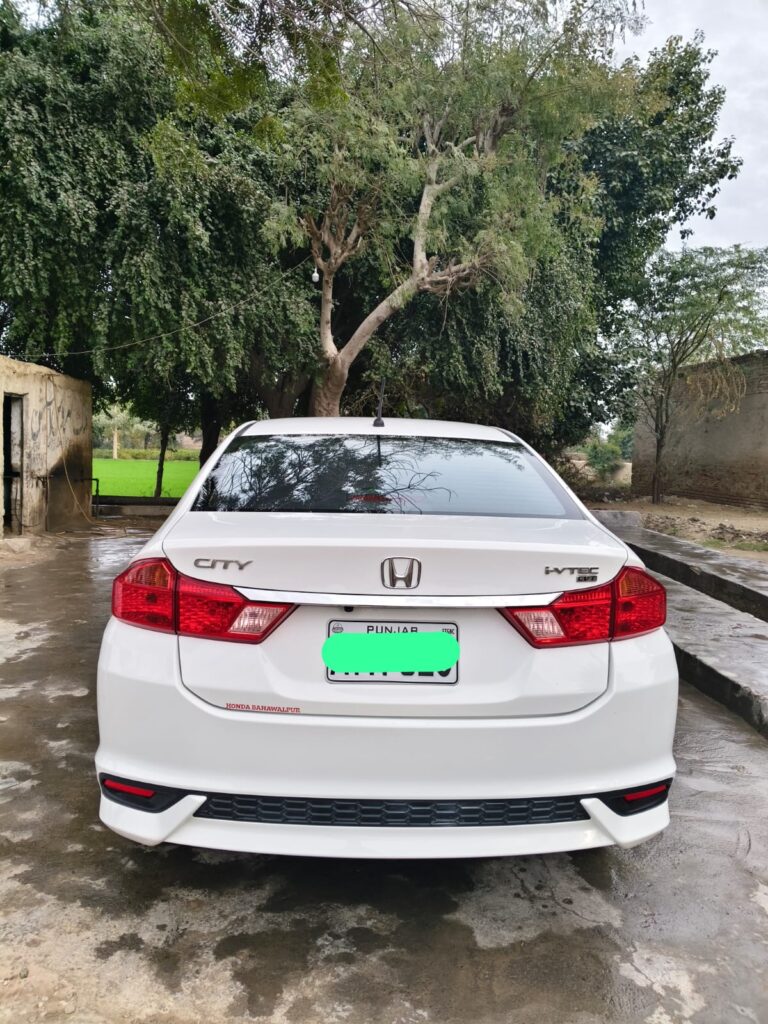 WhatsApp-Image-2026-01-08-at-12.22.24-PM-1