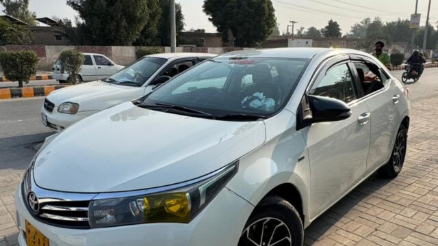 WhatsApp-Image-2026-01-20-at-3.31.40-PM