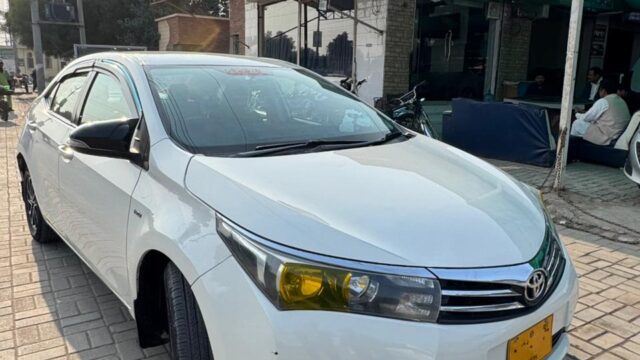 WhatsApp-Image-2026-01-20-at-3.31.41-PM