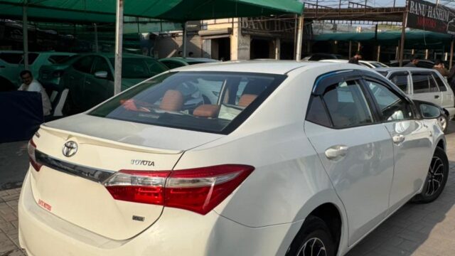 WhatsApp-Image-2026-01-20-at-3.31.42-PM