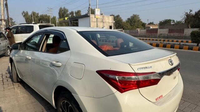 WhatsApp-Image-2026-01-20-at-3.31.43-PM