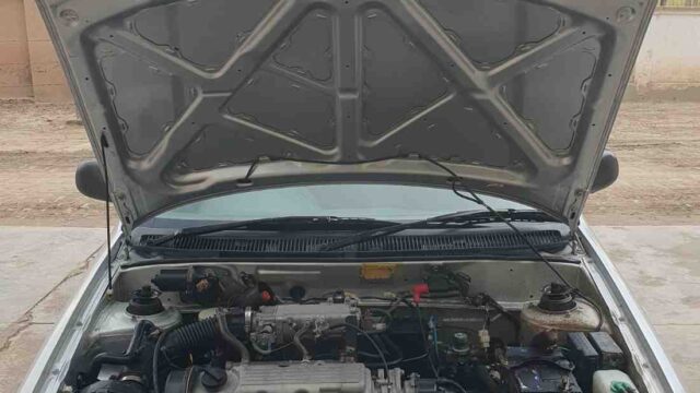 WhatsAppImage2026-01-29at11.04.52AM1