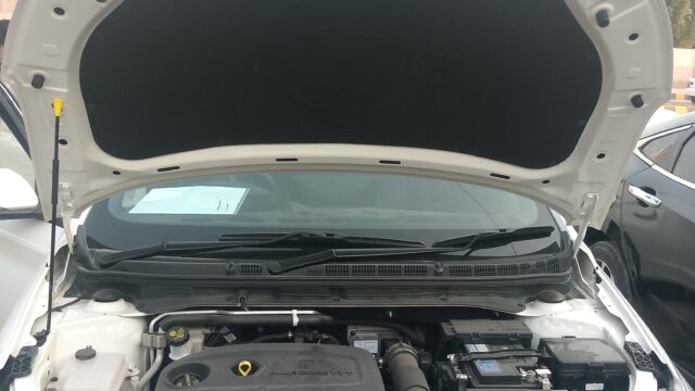 IMG_20260210_170114_085