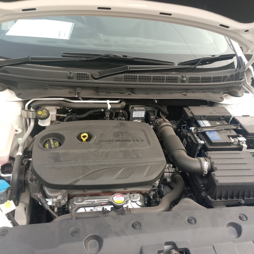 IMG_20260210_170118_619