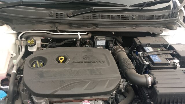 IMG_20260210_170118_619