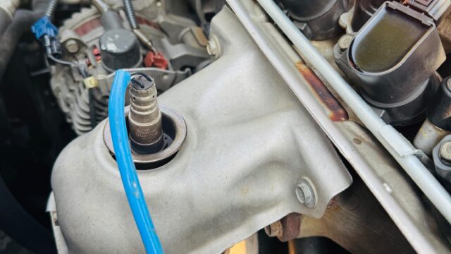 WhatsApp Image 2026-02-04 at 5.38.47 PM