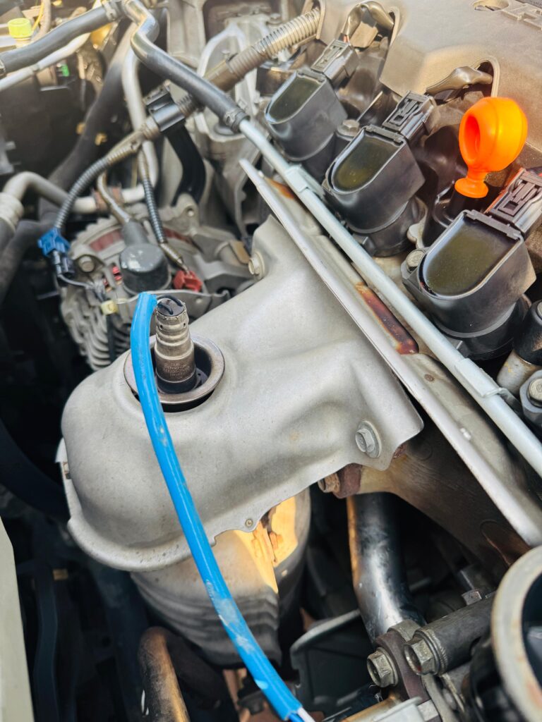 WhatsApp Image 2026-02-04 at 5.38.47 PM