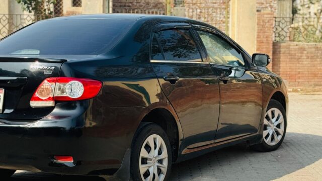 WhatsApp Image 2026-02-05 at 3.10.47 PM (1)