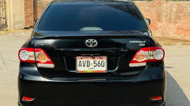 WhatsApp Image 2026-02-05 at 3.10.47 PM (2)