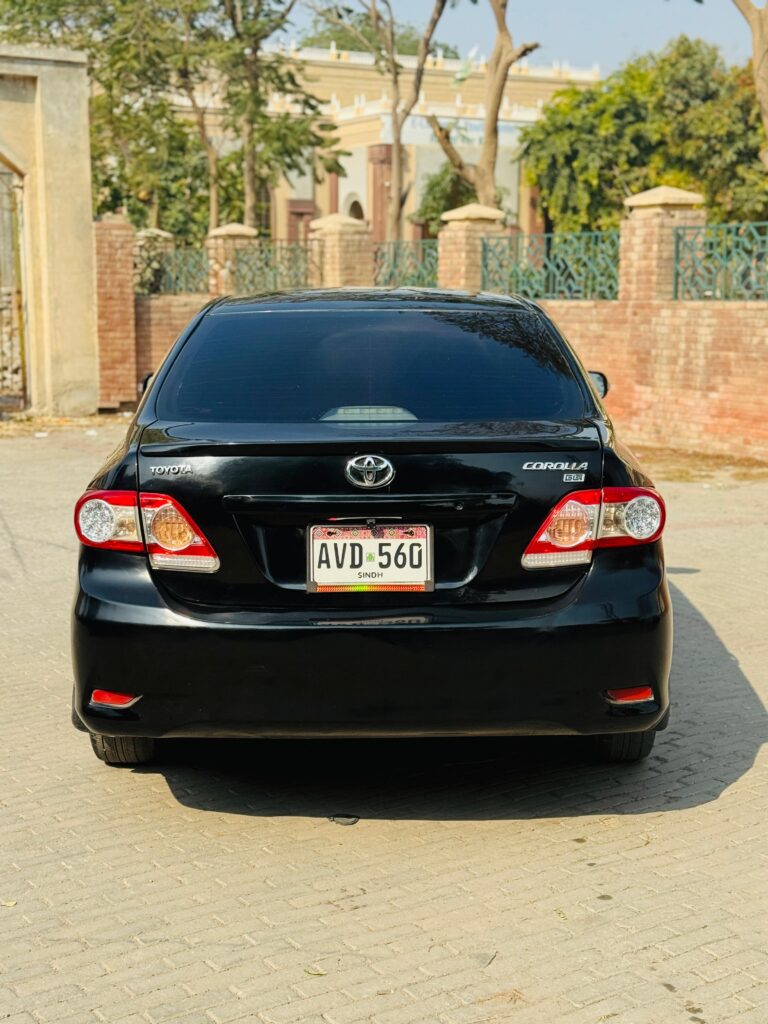 WhatsApp Image 2026-02-05 at 3.10.47 PM (2)