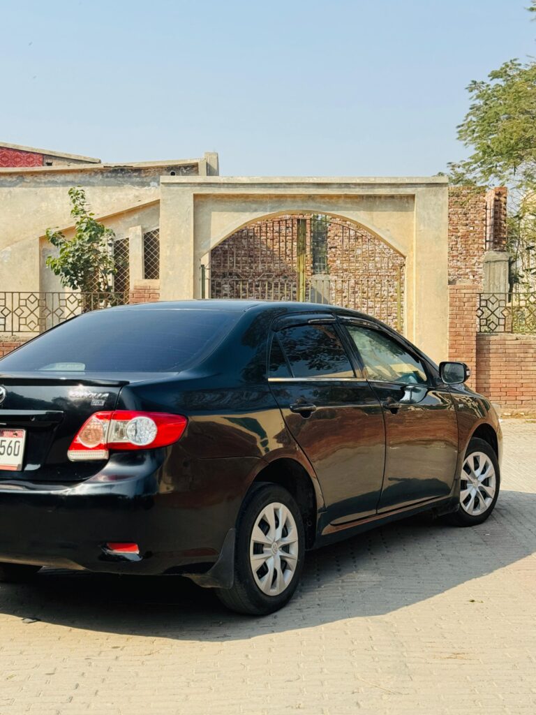 WhatsApp Image 2026-02-05 at 3.10.47 PM