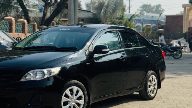 WhatsApp Image 2026-02-05 at 3.10.48 PM (1)