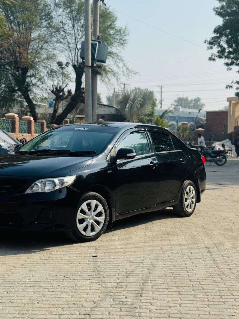 WhatsApp Image 2026-02-05 at 3.10.48 PM (1)