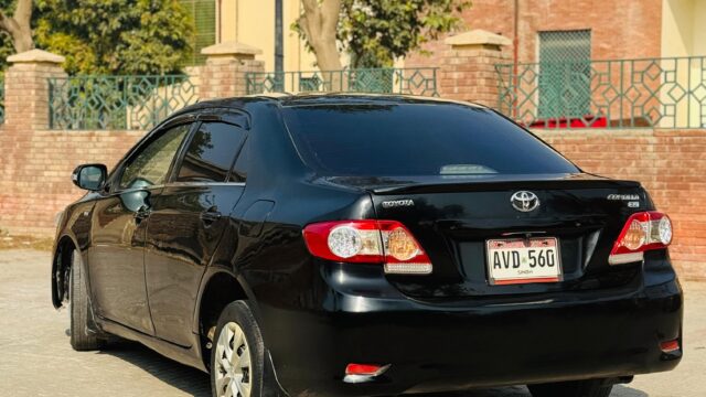 WhatsApp Image 2026-02-05 at 3.10.48 PM