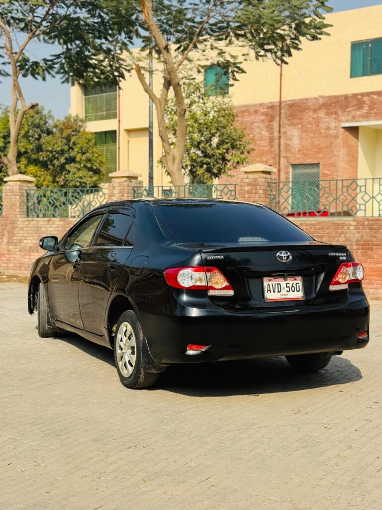 WhatsApp Image 2026-02-05 at 3.10.48 PM