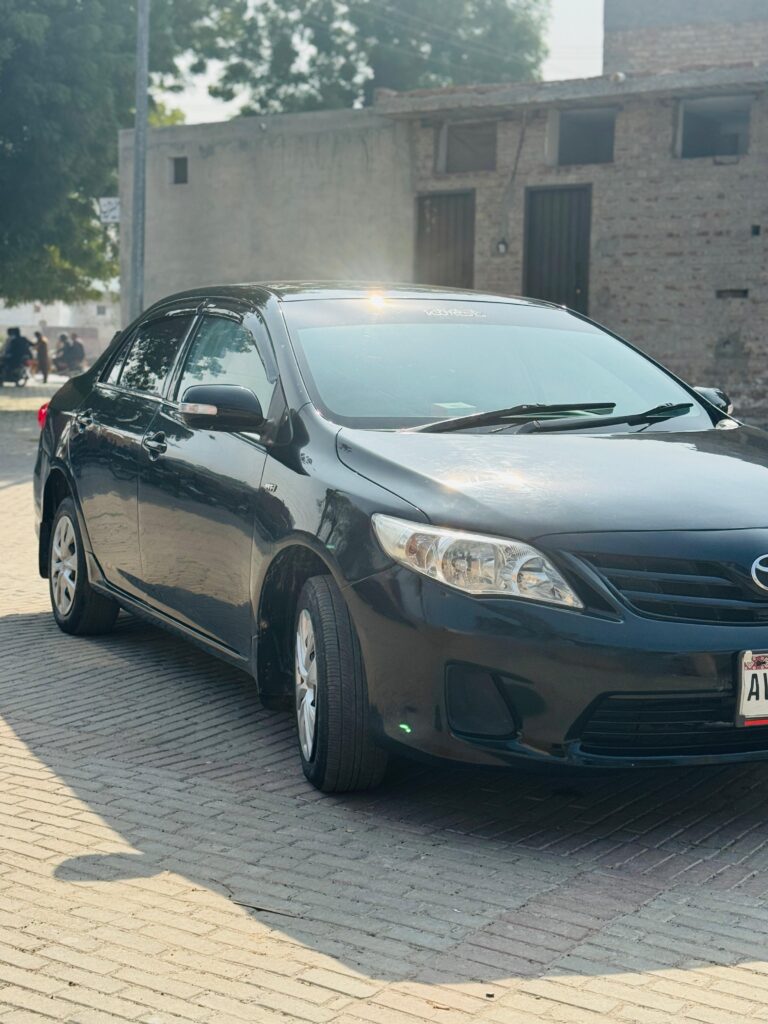 WhatsApp Image 2026-02-05 at 3.10.49 PM (1)