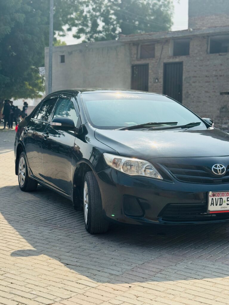 WhatsApp Image 2026-02-05 at 3.10.49 PM (2)