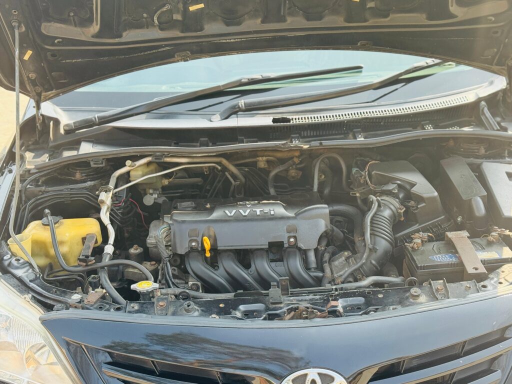 WhatsApp Image 2026-02-05 at 3.10.50 PM (2)