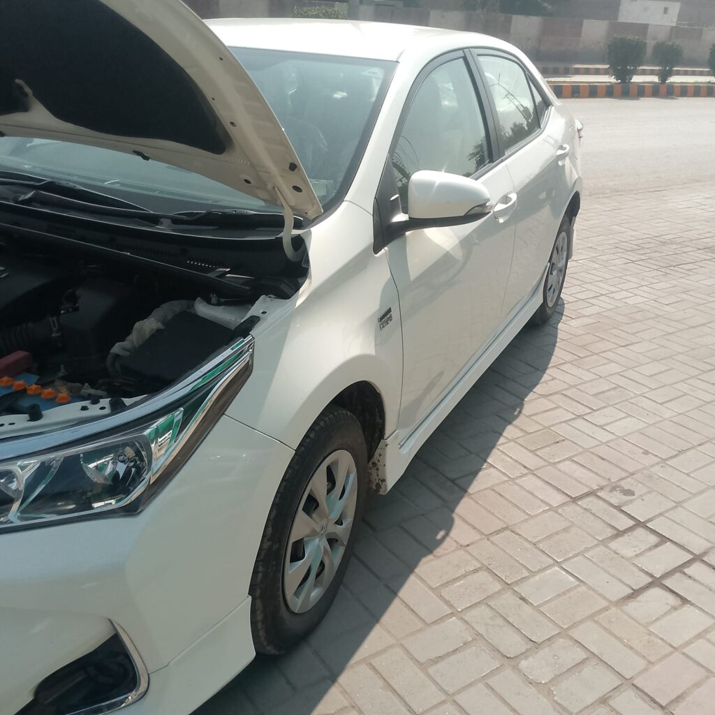 WhatsApp Image 2026-02-08 at 1.44.05 PM (1)