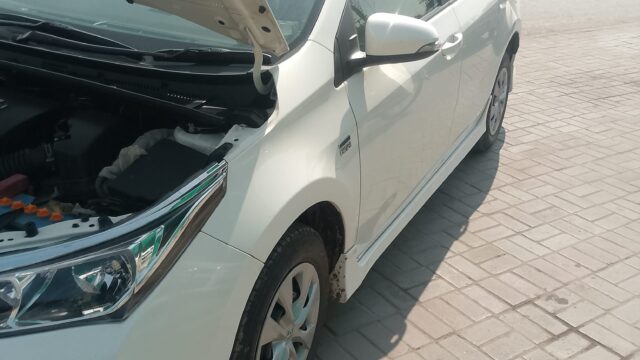 WhatsApp Image 2026-02-08 at 1.44.05 PM (1)