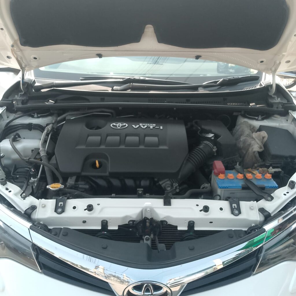 WhatsApp Image 2026-02-08 at 1.44.06 PM (1)