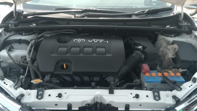 WhatsApp Image 2026-02-08 at 1.44.06 PM (1)