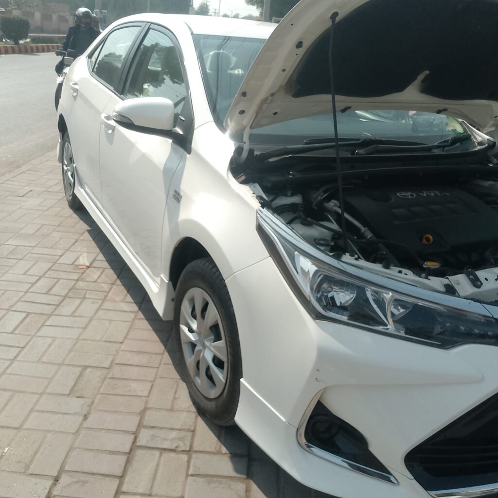 WhatsApp Image 2026-02-08 at 1.44.06 PM