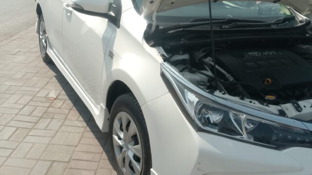 WhatsApp Image 2026-02-08 at 1.44.06 PM