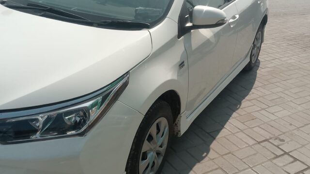 WhatsApp Image 2026-02-08 at 1.44.09 PM (1)