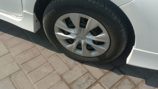 WhatsApp Image 2026-02-08 at 1.44.09 PM