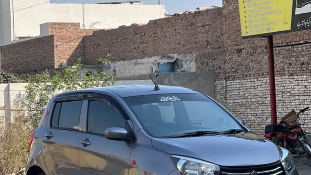 WhatsApp Image 2026-02-26 at 4.26.54 PM (1)