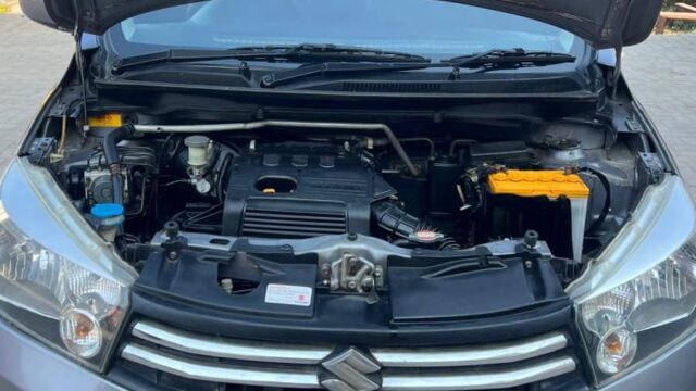 WhatsApp Image 2026-02-26 at 4.26.56 PM (1)