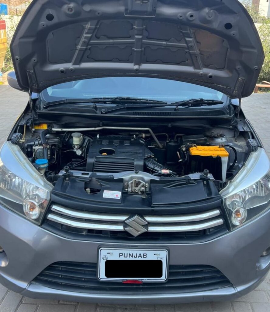 WhatsApp Image 2026-02-26 at 4.26.56 PM (1)